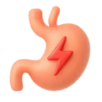 Digestion