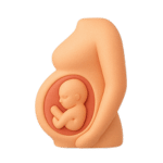 Pregnancy